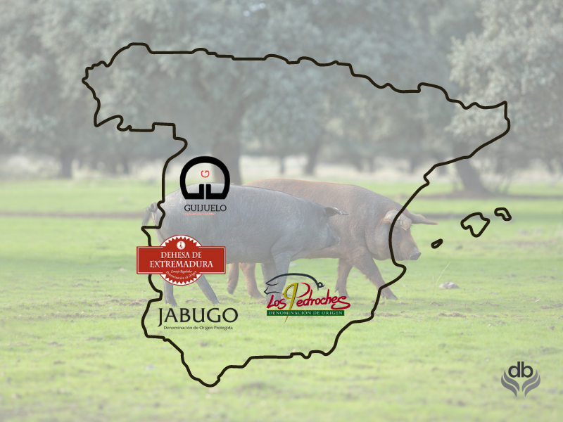 Iberico Ham Guide: Exploring Spain's Appellations of Origin