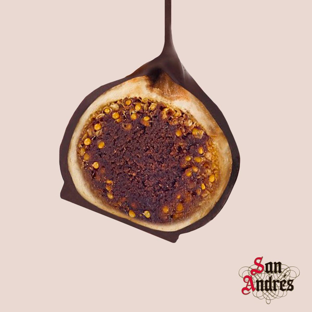 Chocolate covered fig in half on a beige background, featuring the San Andres logo.