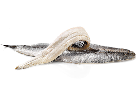 Boquerones white anchovies Pujado Solano 