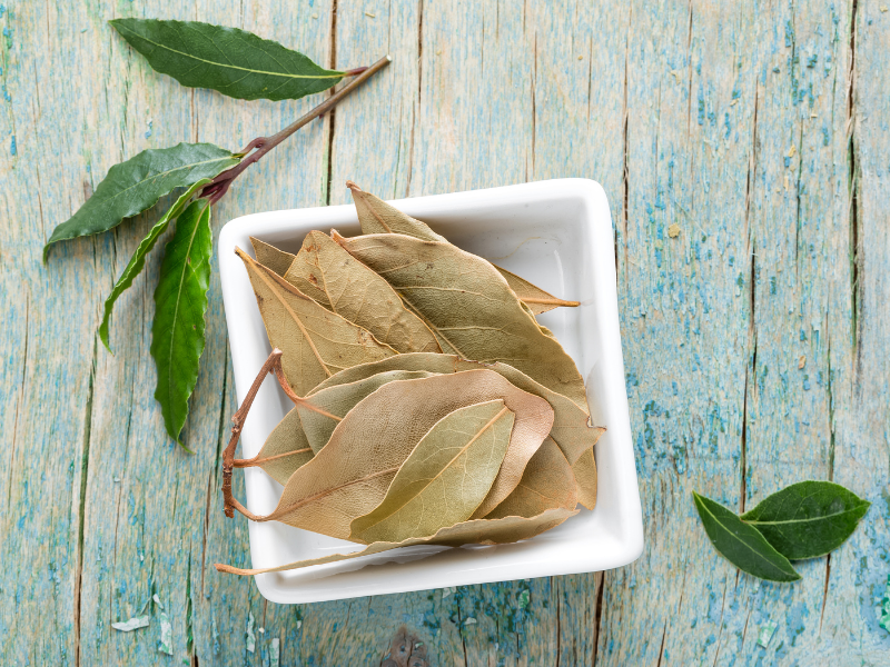 Whole Bay Leaves 'laurel' in a squared bowl with a blue washed wood background. Deliberico